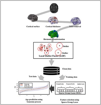 Biological Brain Age Prediction Using Cortical Thickness Data: A Large Scale Cohort Study